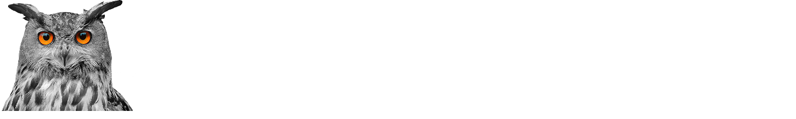Logo Königsforst Marathon